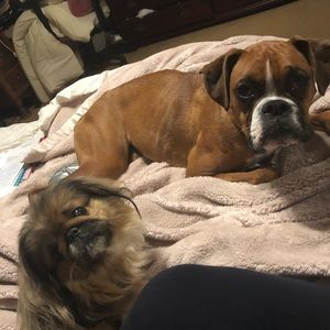 Meet your Posher, Nicole